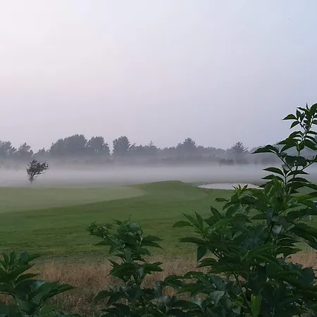 Thatched With - By Traum