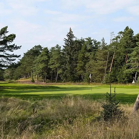 Thatched With - By Traum *