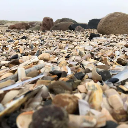 Thatched With - By Traum Blåvand