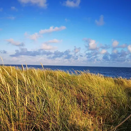 4 Star In Blåvand