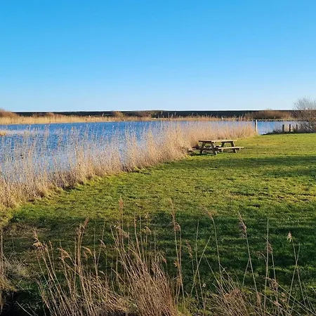 4 Star In Vakantiehuis Blåvand